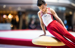 Stage départemental Gymnastique Masculine à FIGEAC